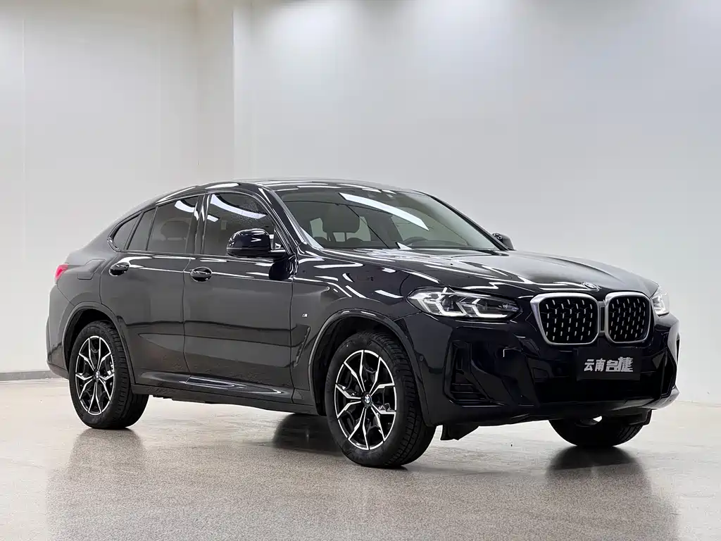 BMW X4 — фото 3