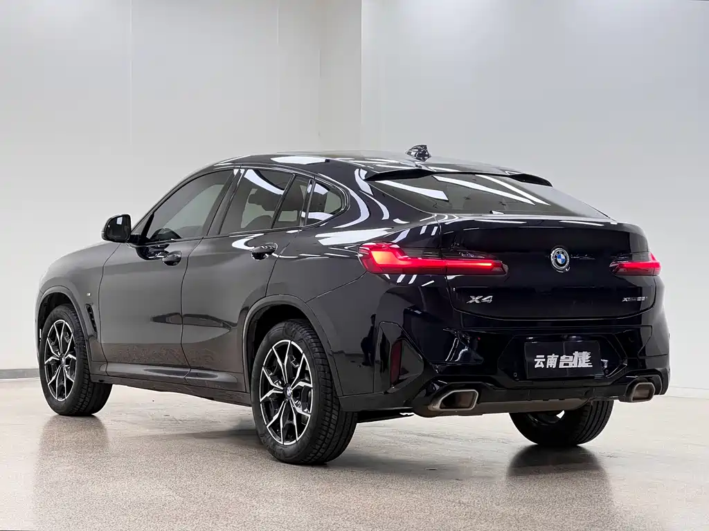 BMW X4 — фото 5