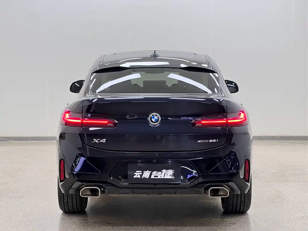 BMW X4 — фото 6
