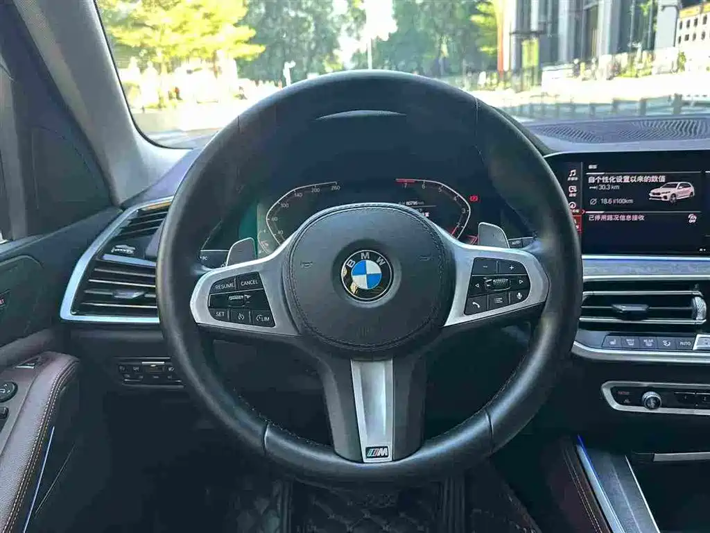 BMW X5 (Import) — фото 6