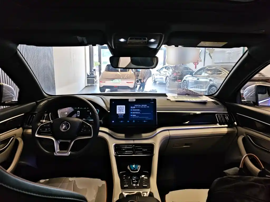 BYD PLUS New Energy — фото 10