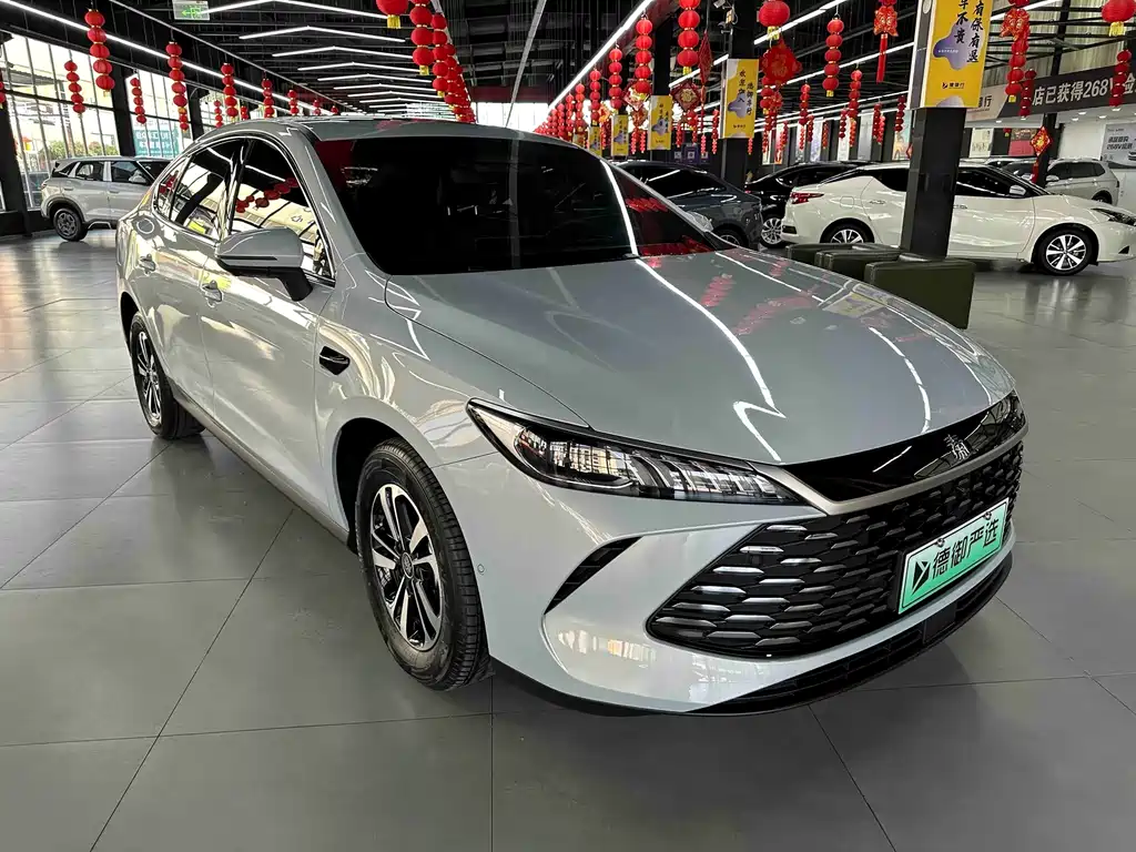 BYD Qin PLUS — фото 3