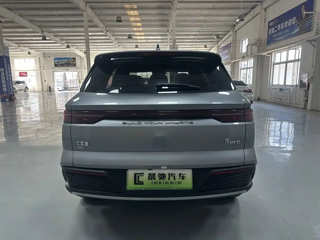 BYD Pro New Energy — фото 5