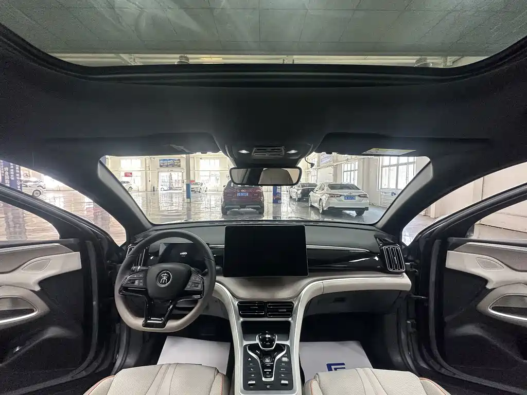 BYD Pro New Energy — фото 9