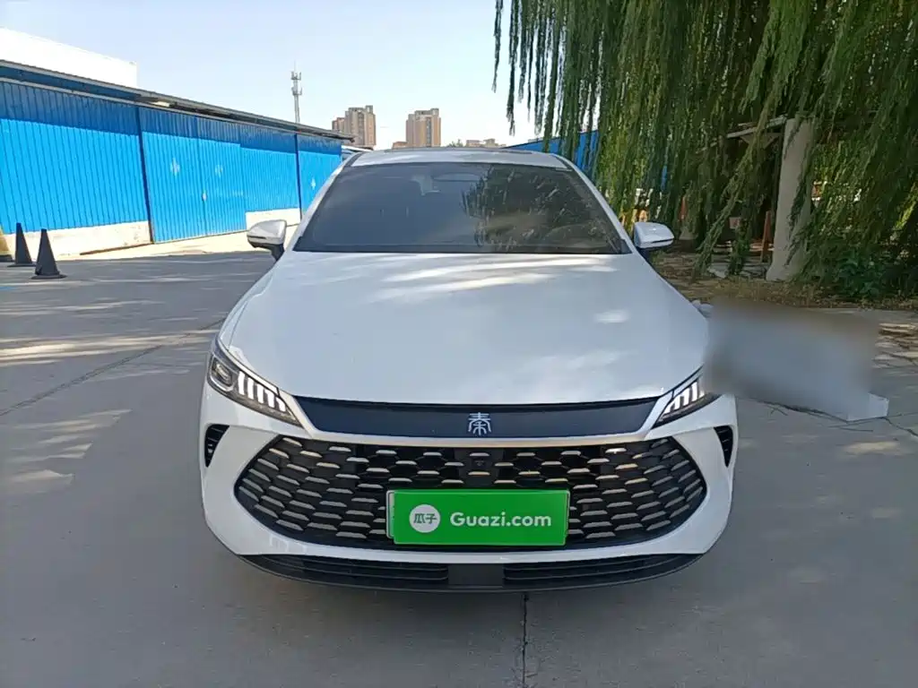 BYD Qin PLUS — фото 3