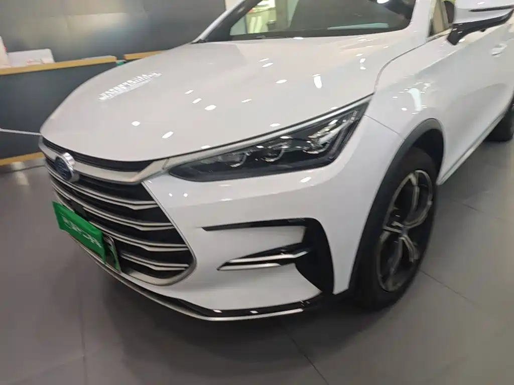 BYD Tang New Energy — фото 24
