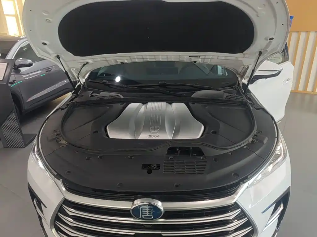 BYD Tang New Energy — фото 20