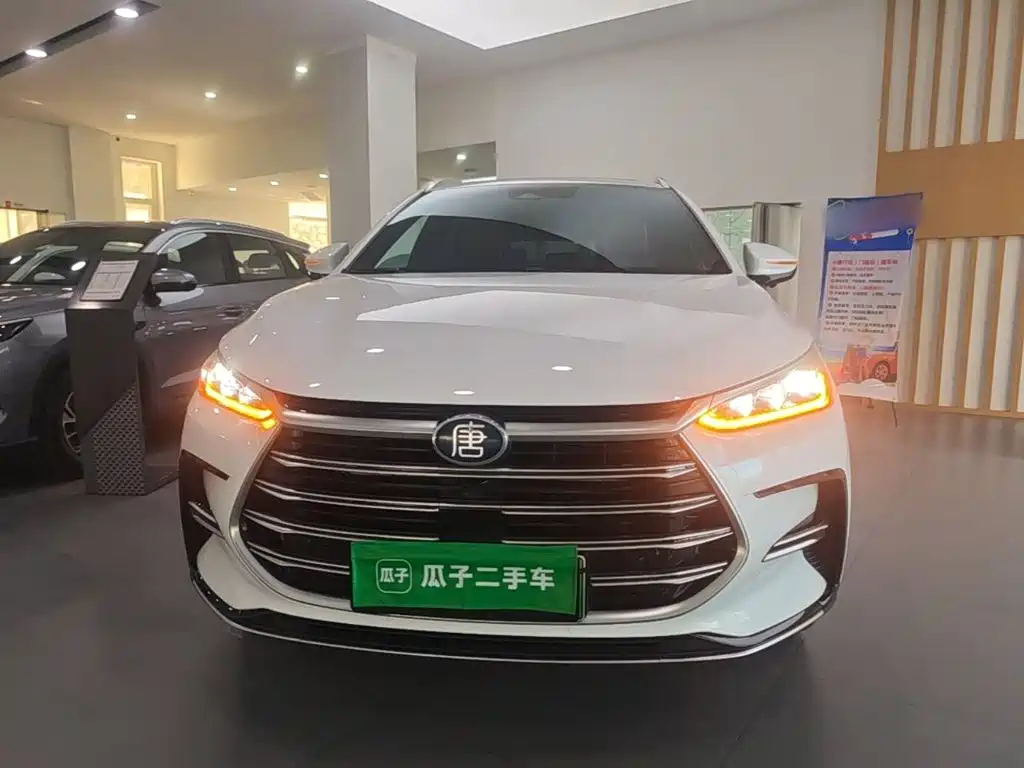 BYD Tang New Energy — фото 3