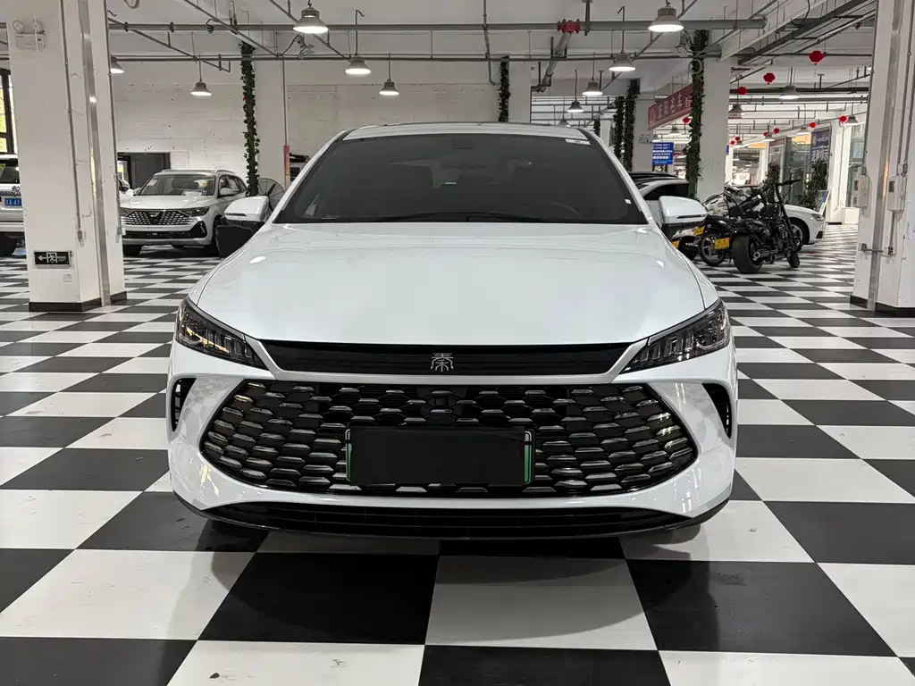 BYD Qin PLUS — фото 2