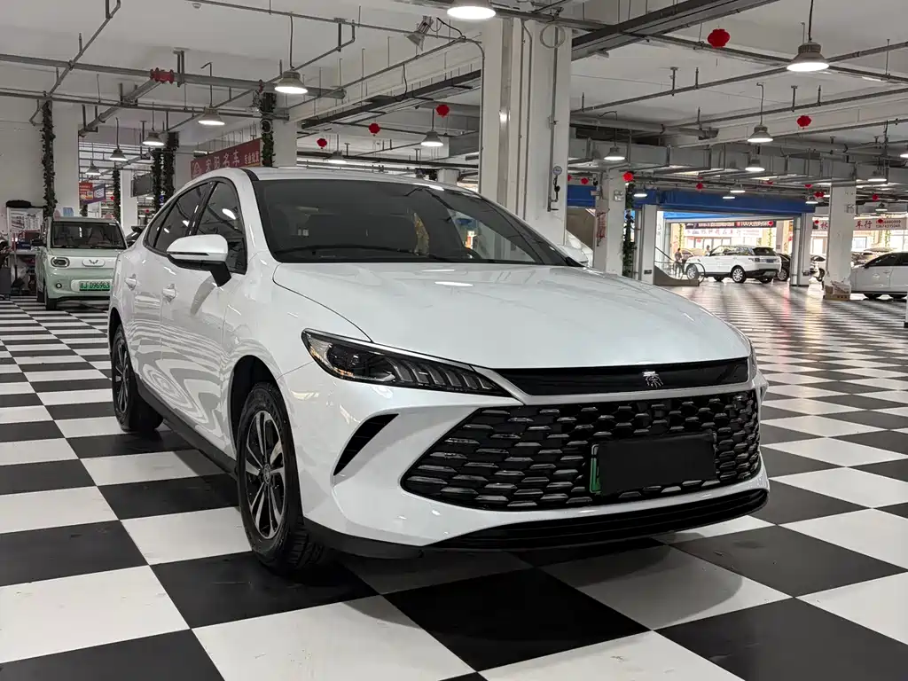 BYD Qin PLUS — фото 3