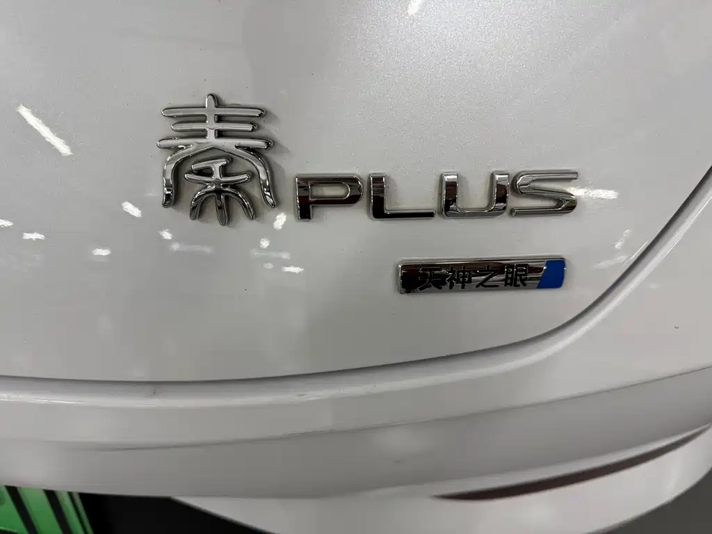 BYD Qin PLUS — фото 6