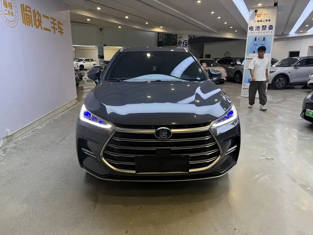 BYD Tang New Energy — фото 2