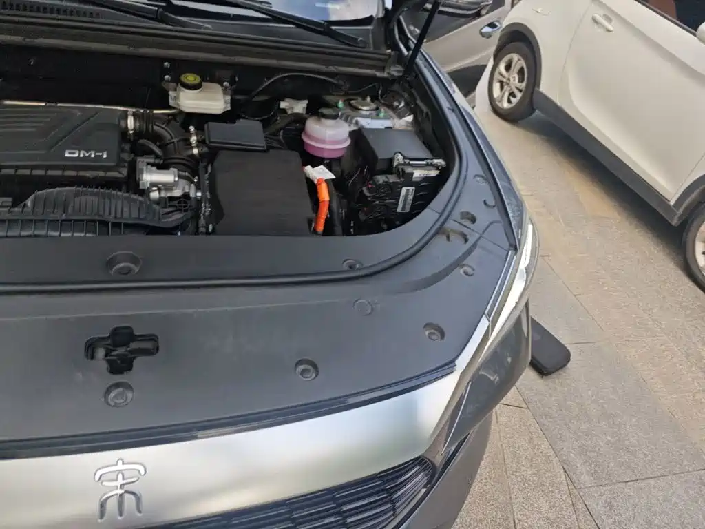 BYD Pro New Energy — фото 22