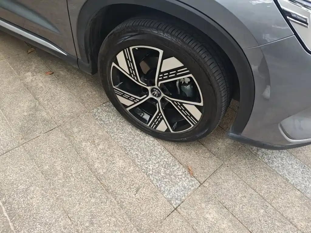 BYD Pro New Energy — фото 25