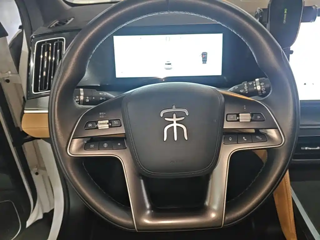BYD L DM-i — фото 11