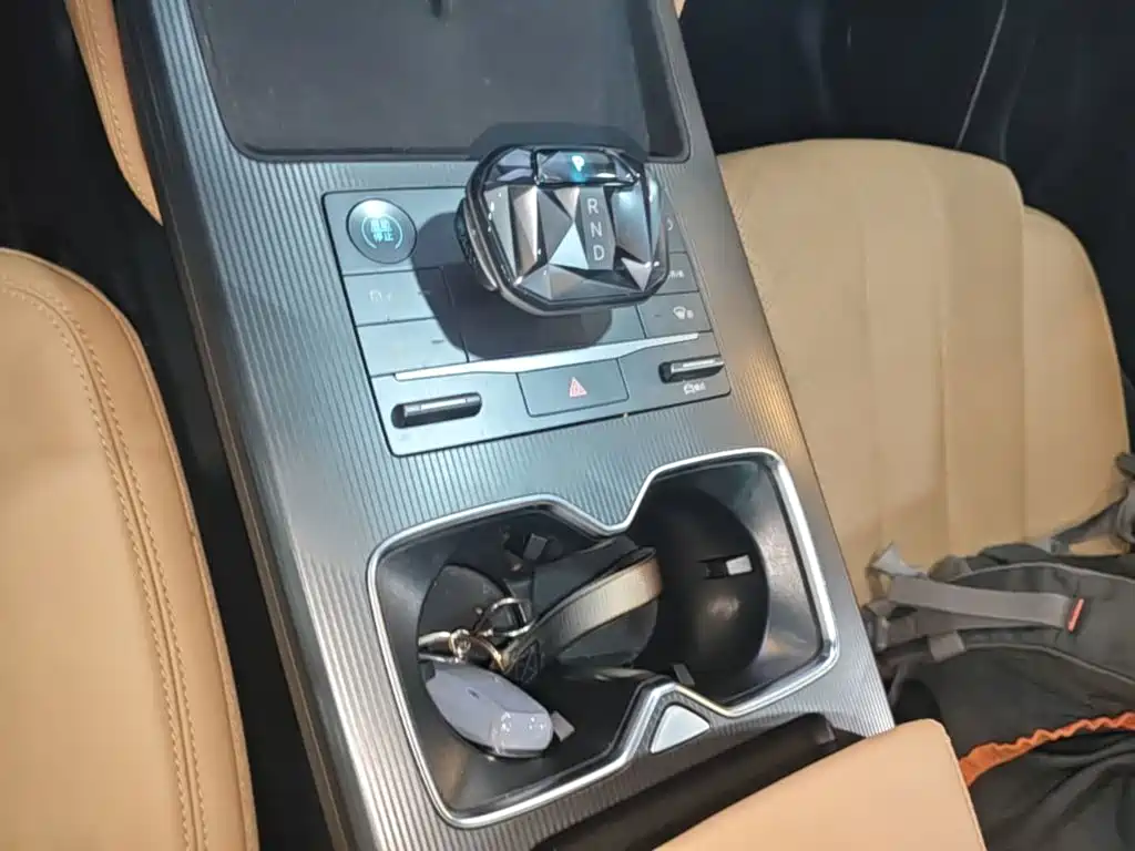 BYD L DM-i — фото 14