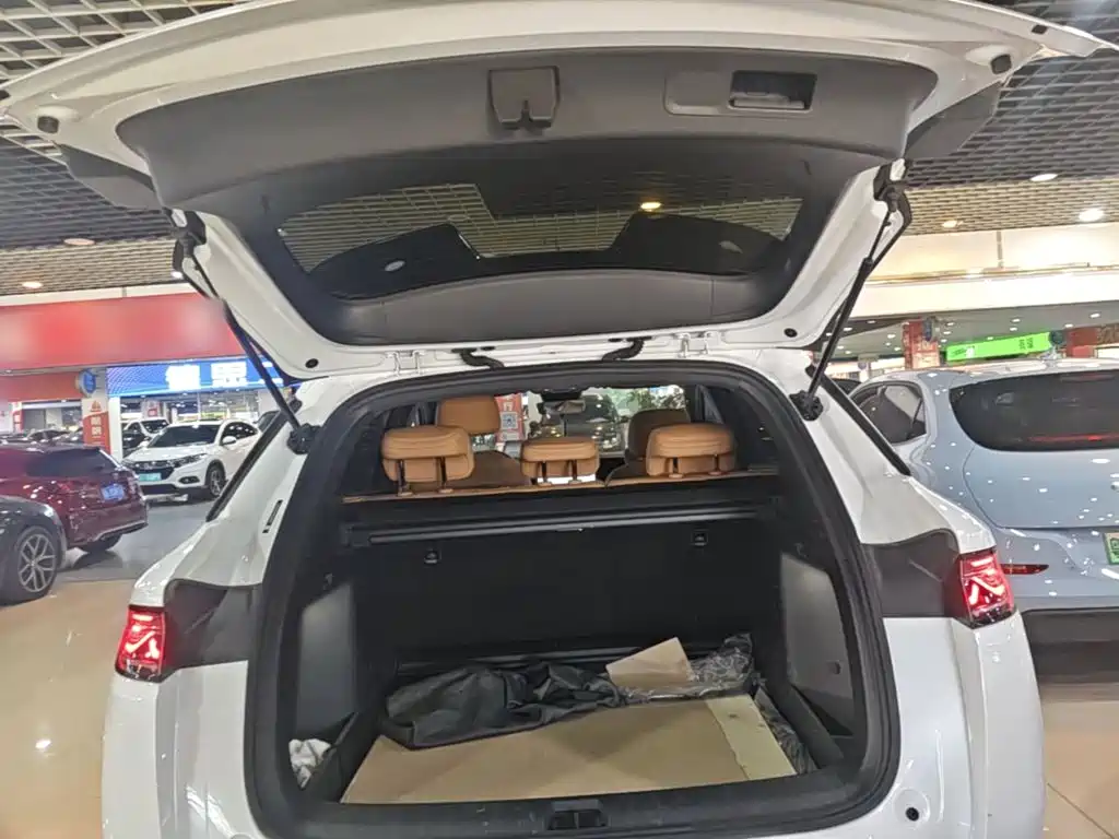 BYD L DM-i — фото 19
