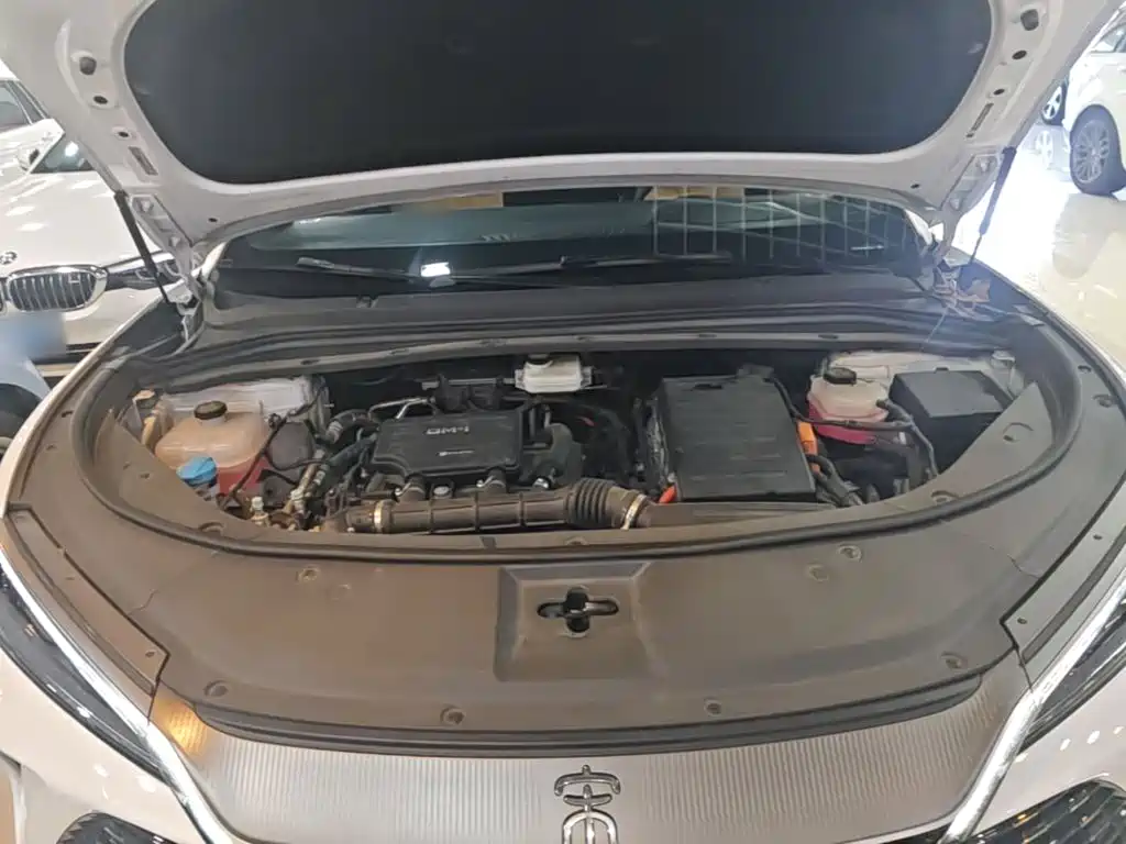 BYD L DM-i — фото 20