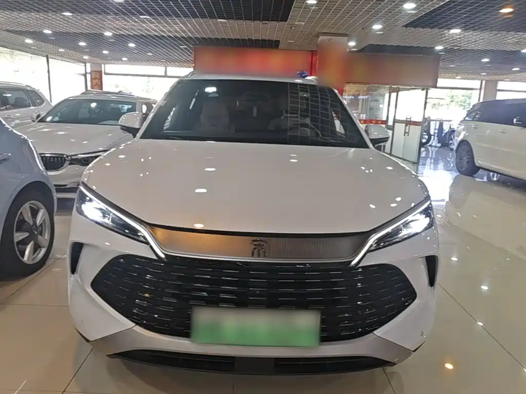 BYD L DM-i — фото 3