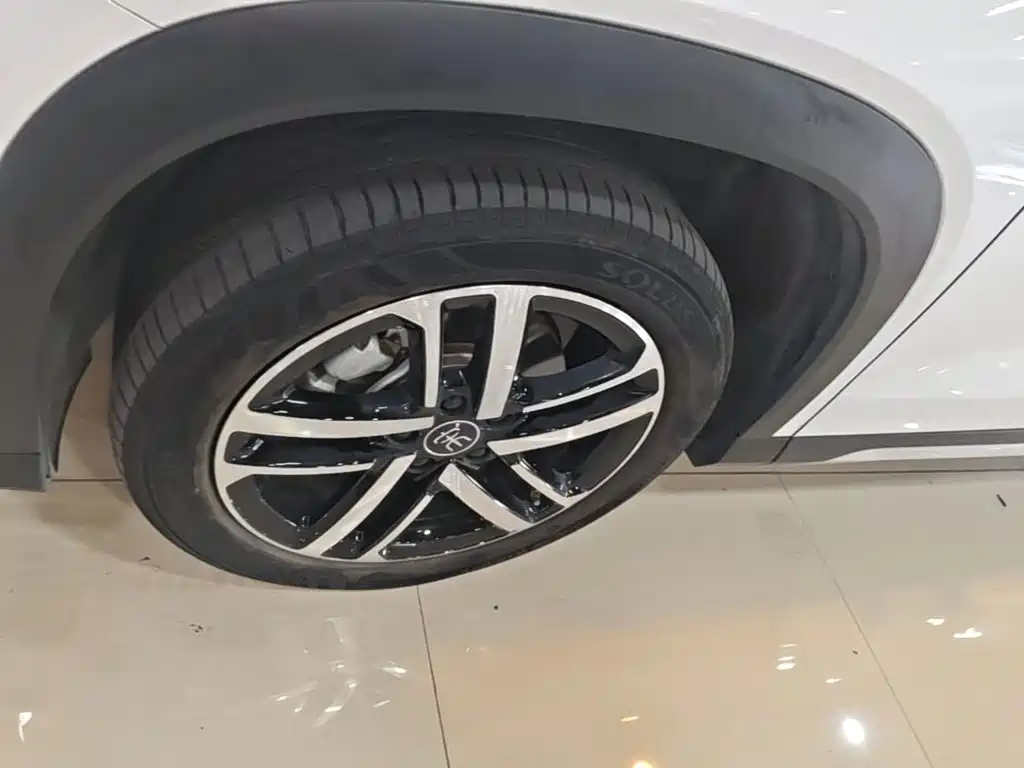 BYD L DM-i — фото 23