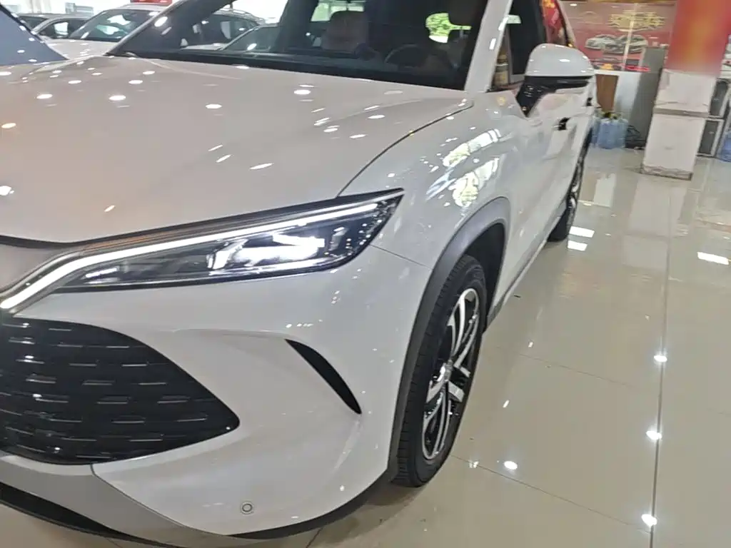BYD L DM-i — фото 24