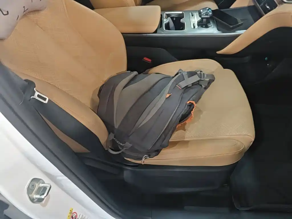 BYD L DM-i — фото 25