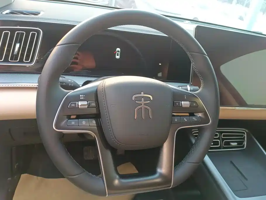 BYD Pro New Energy — фото 15