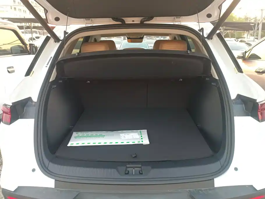 BYD Pro New Energy — фото 4