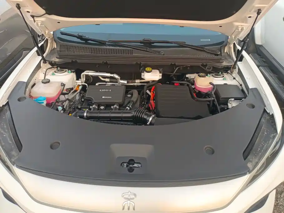 BYD Pro New Energy — фото 10