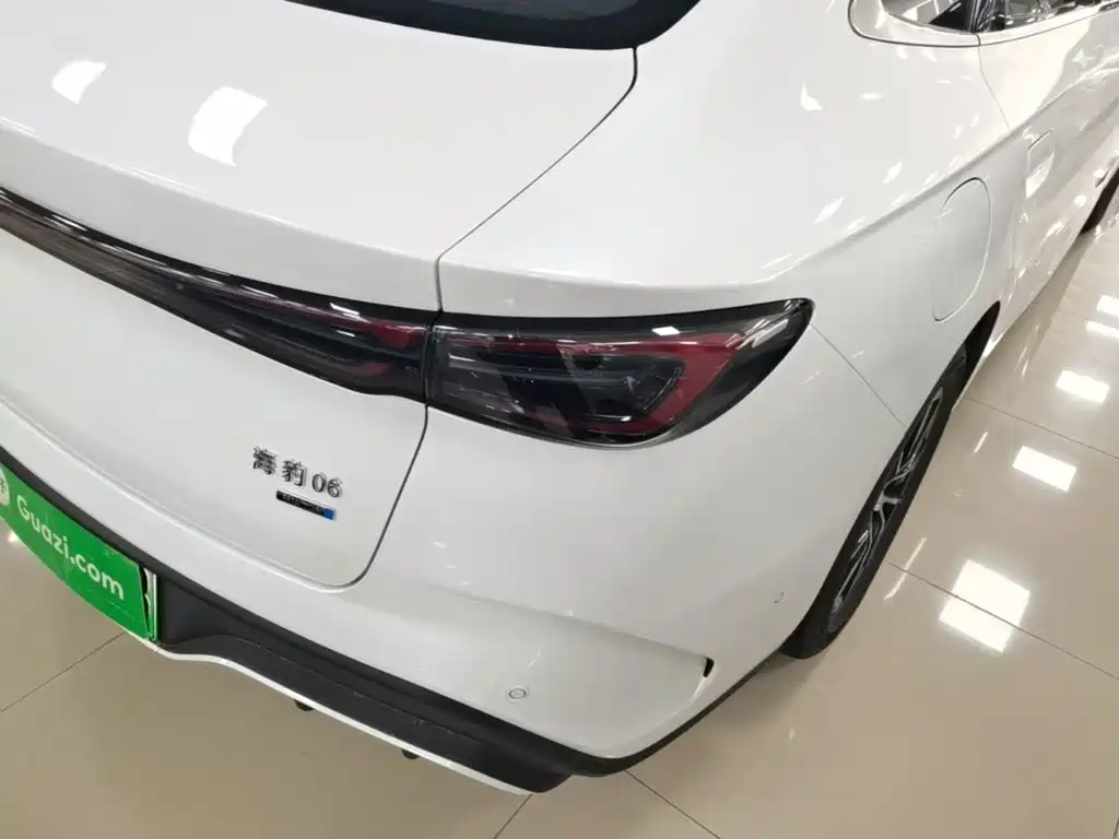 BYD Seal 06 — фото 8