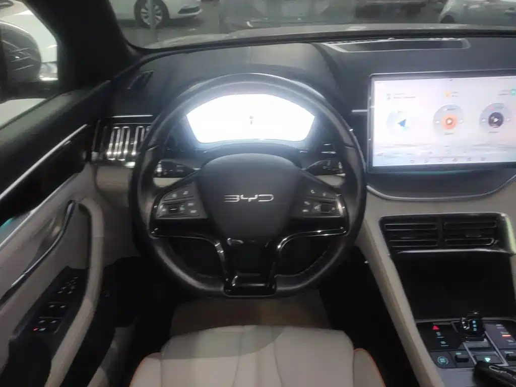 BYD PLUS New Energy — фото 11