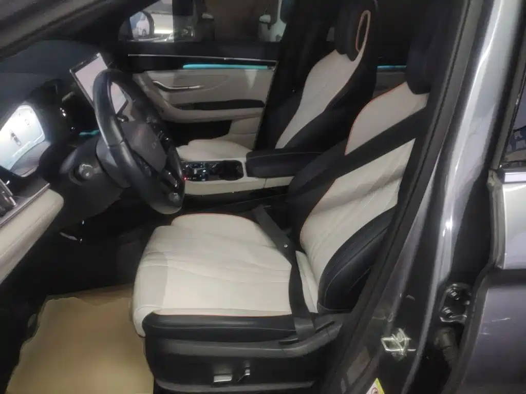 BYD PLUS New Energy — фото 15