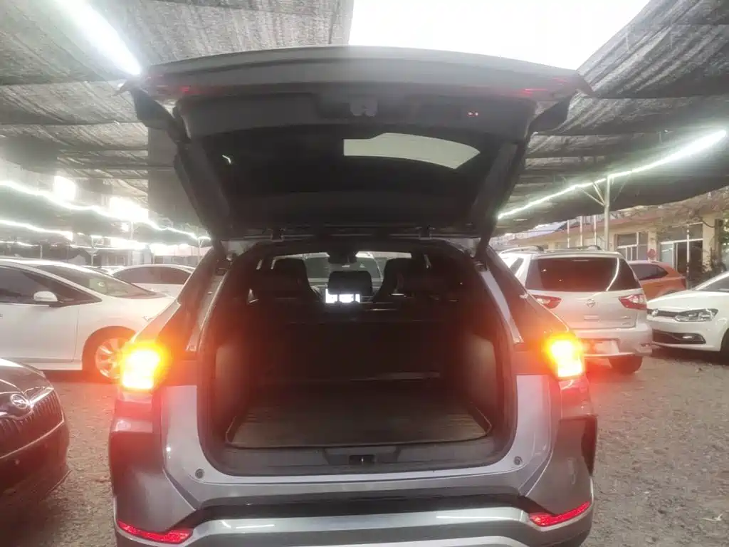 BYD PLUS New Energy — фото 19