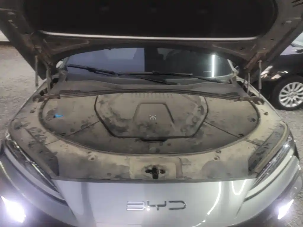 BYD PLUS New Energy — фото 20