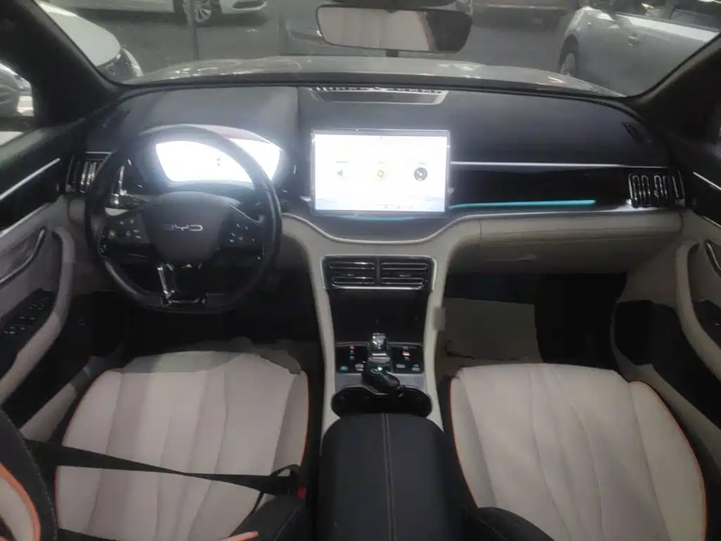 BYD PLUS New Energy — фото 10