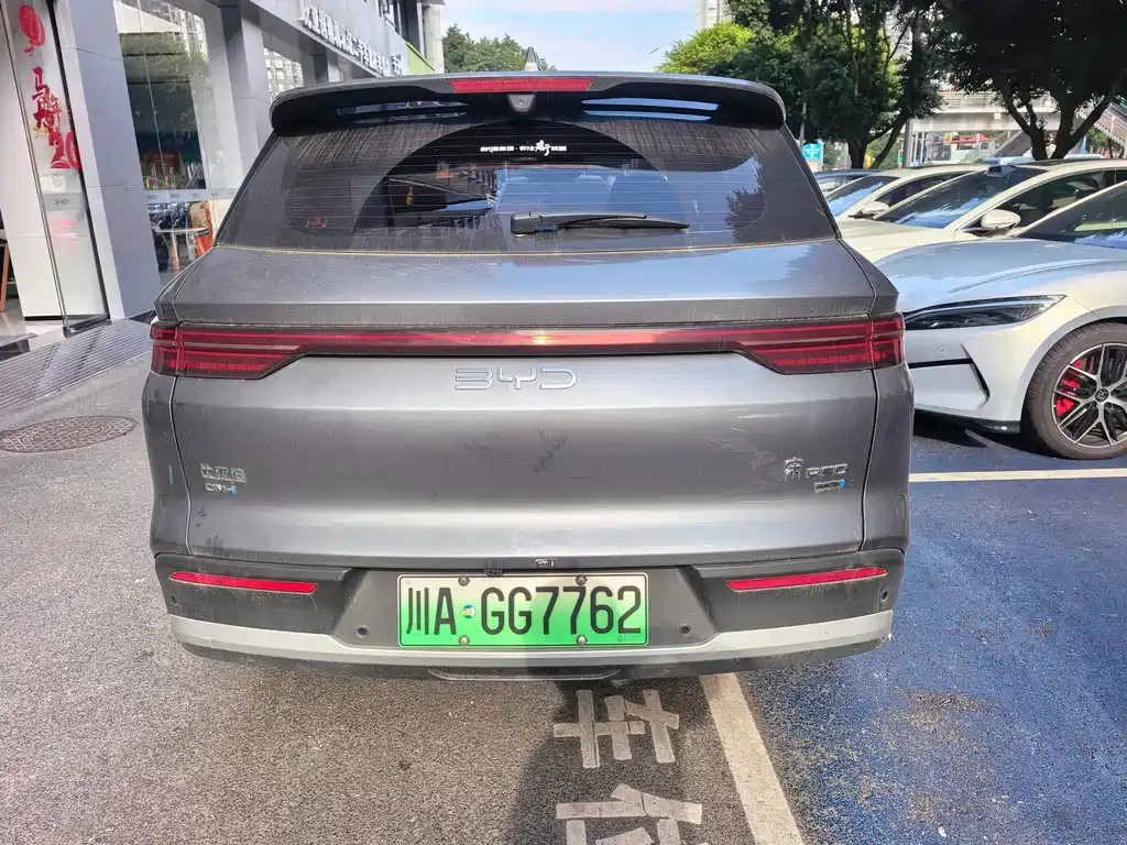 BYD Pro New Energy — фото 9