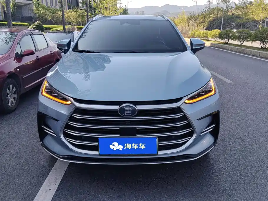 BYD Tang New Energy — фото 2