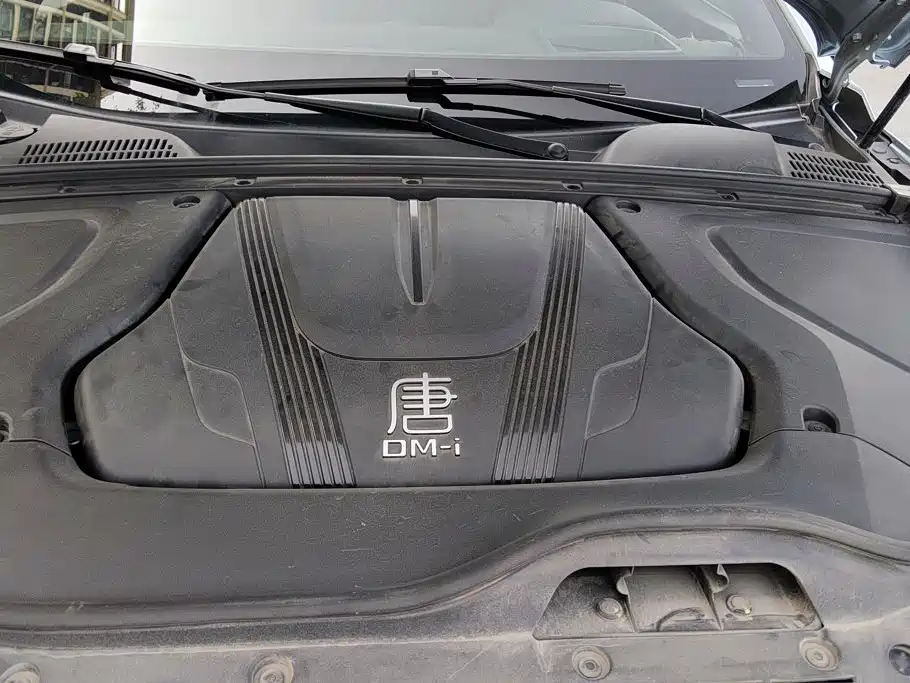 BYD Tang New Energy — фото 10
