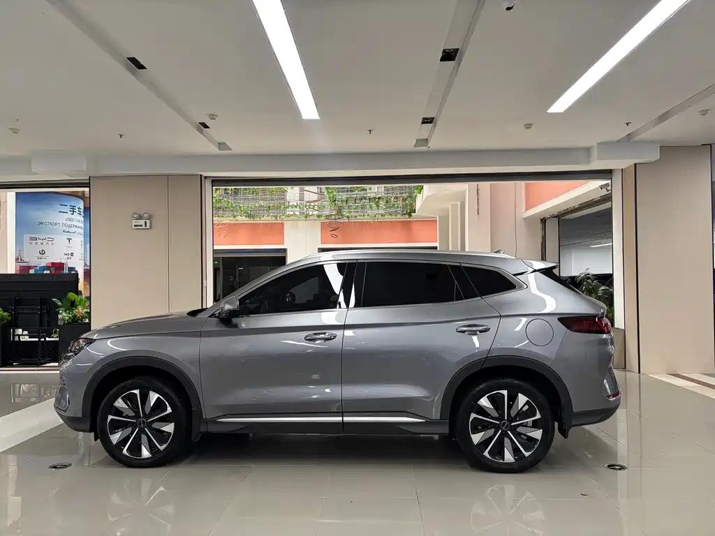 BYD PLUS New Energy — фото 10