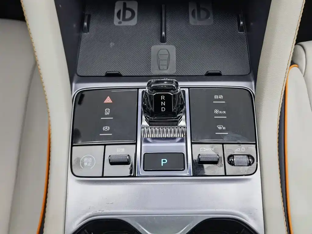 BYD PLUS New Energy — фото 13