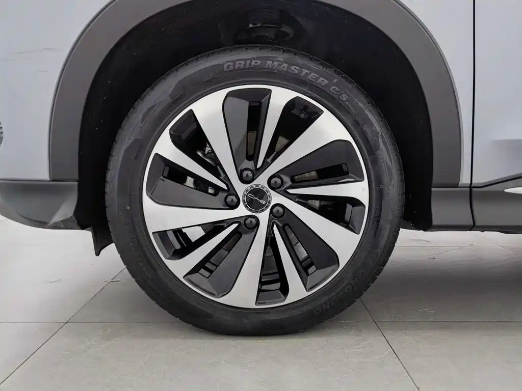BYD PLUS New Energy — фото 17