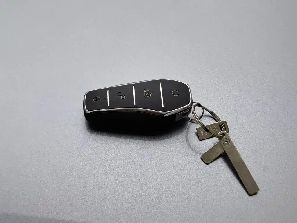 BYD PLUS New Energy — фото 19