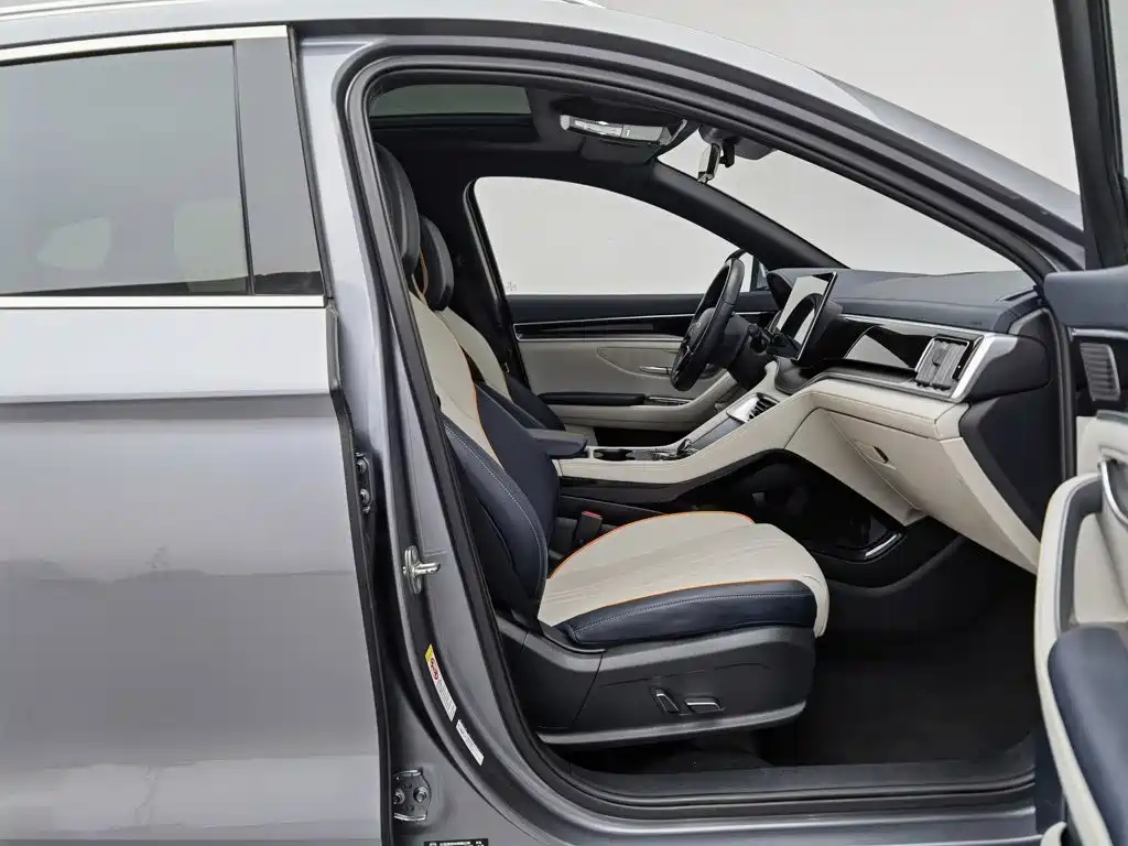 BYD PLUS New Energy — фото 23