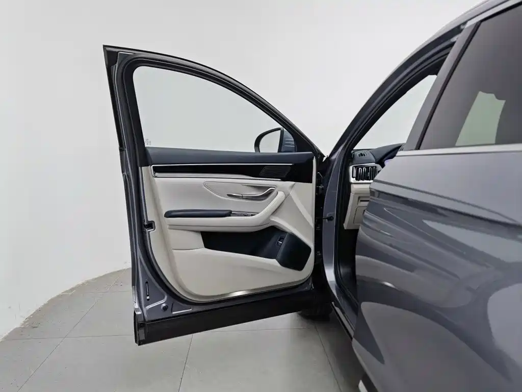BYD PLUS New Energy — фото 8