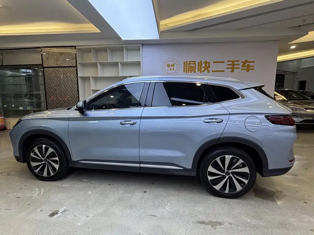 BYD PLUS New Energy — фото 4