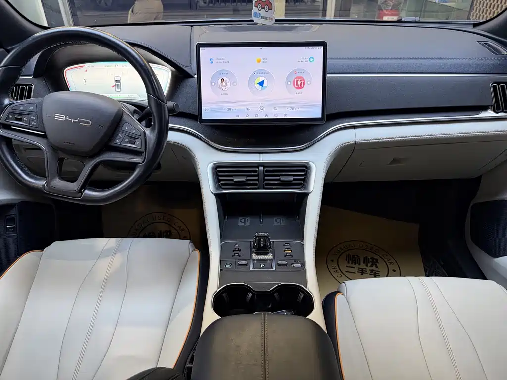 BYD PLUS New Energy — фото 10