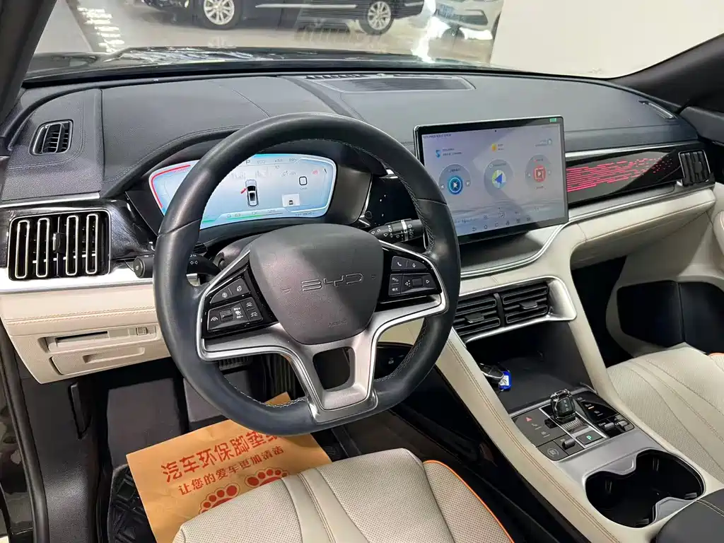 BYD PLUS New Energy — фото 5