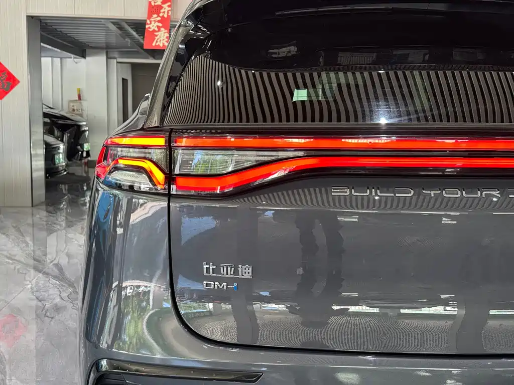 BYD Tang New Energy — фото 24