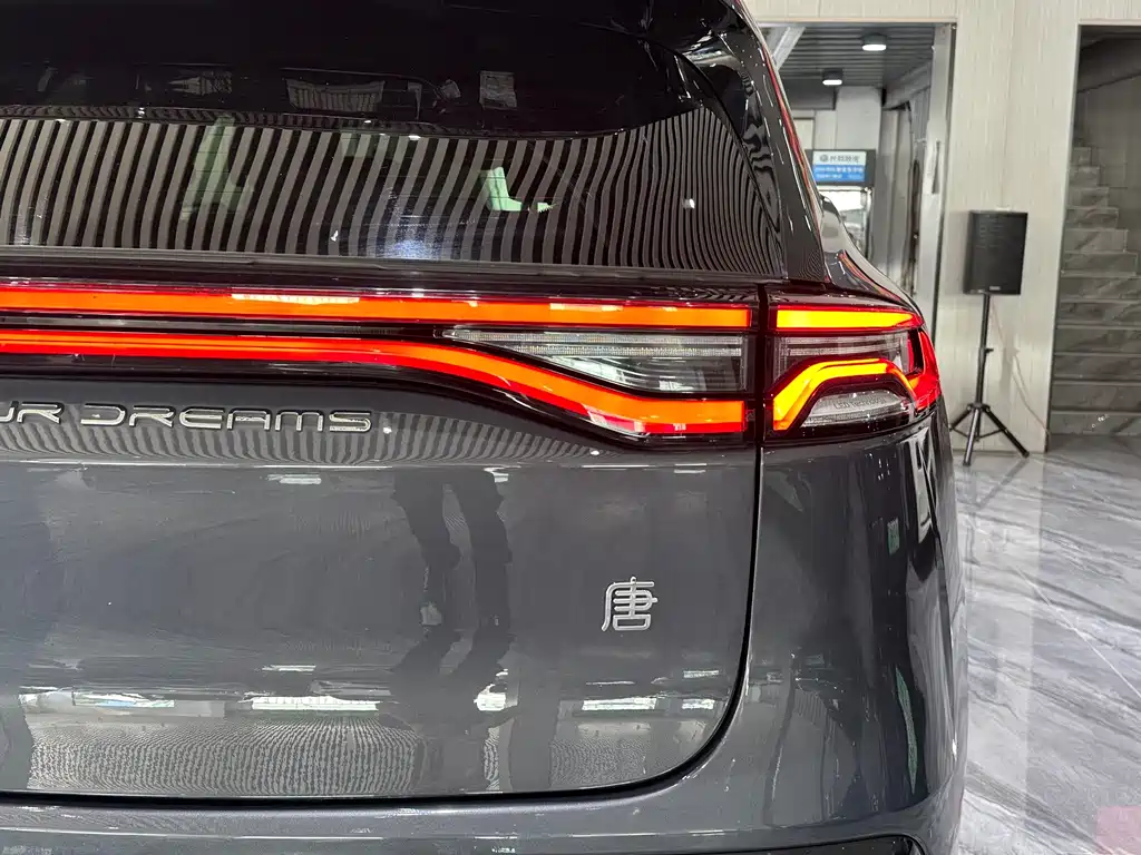 BYD Tang New Energy — фото 25