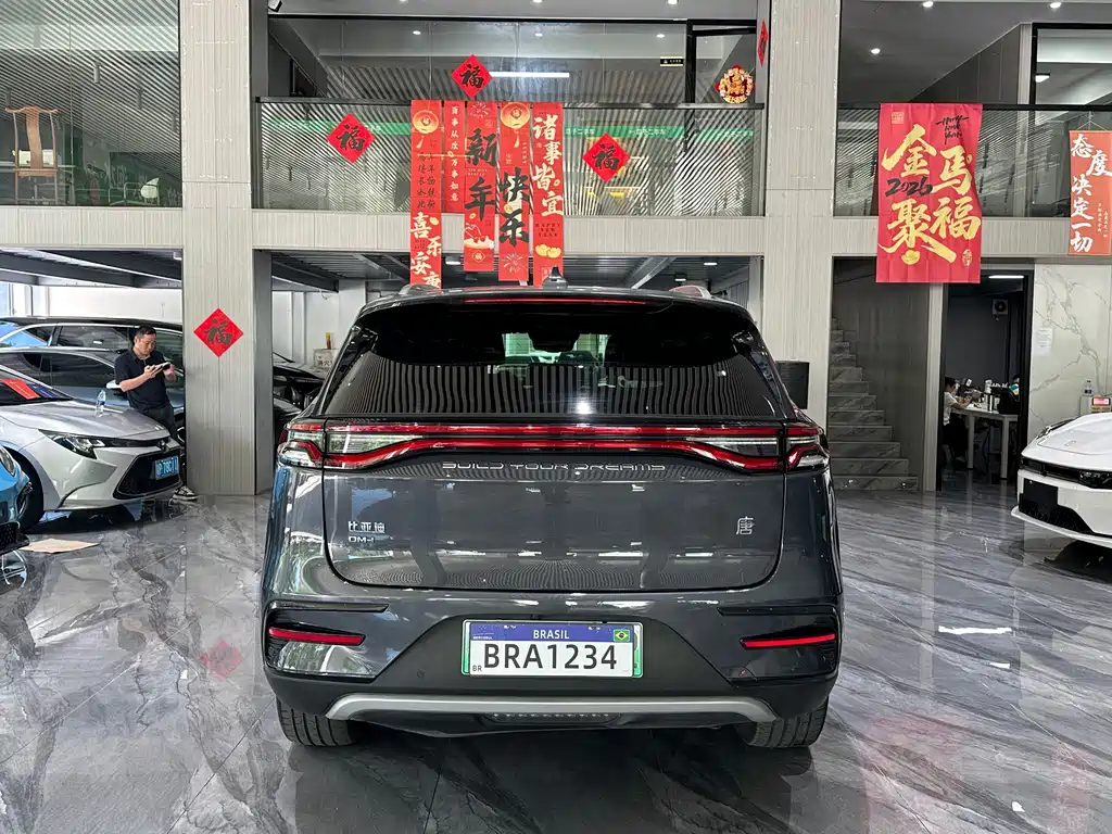 BYD Tang New Energy — фото 29